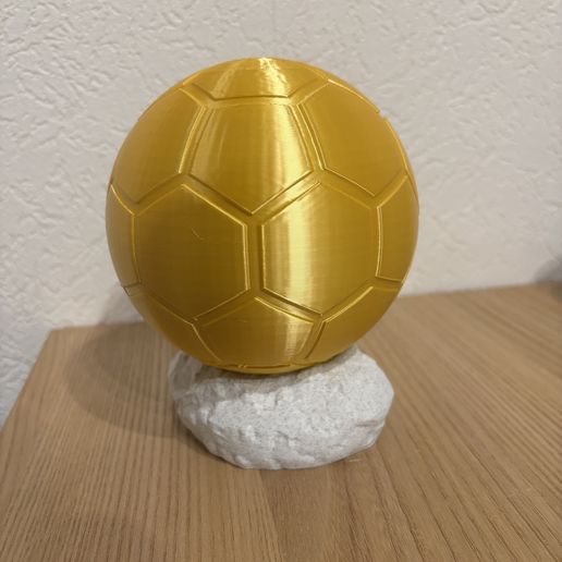 IMG_9369.jpeg Balloon dor