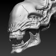 8.jpg STL-Datei Xenomorph skull with base herunterladen • 3D-druckbare Vorlage, SKULLHILL