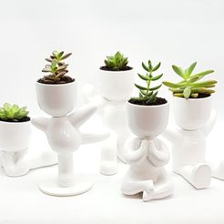 IMG_20190519_192930_187.jpg boy fat potted plants and stl for 3D printing 3D model