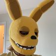 Spring Bonnie full suit