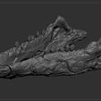 NNSRS_0007_Layer-13.jpg Dinosaur Skull - Nanosaurus