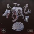 Wolfmother-Assembly.jpg Wolfmother