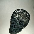 IMG20201203222815.jpg Voronoi Skull 3D print model