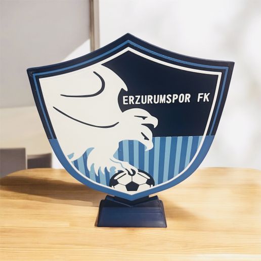 ERZURUMSPOR LOGO