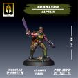 Cdo-Captain-2.jpg Commando Captain