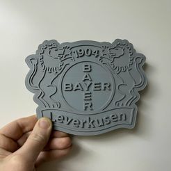 IMG_0786.jpg BAYER Leverkusen plaque
