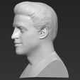 5.jpg Joey Tribbiani from Friends bust 3D printing ready stl obj formats