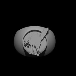 anarchy_cat_ring_jotunn_creation_2.jpg Fichier 3D Anarchy cat/CNT ring・Modèle à télécharger et à imprimer en 3D