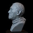 04.jpg Three Eyed Raven (Max Von Sydow) Game of Thrones character, 3d Printable Model, Bust, Portrait, Sculpture, 153mm tall, downloadable STL file