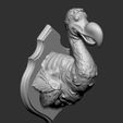 03.jpg Dodo Bird