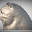Zrzut-ekranu-2025-06-14-111311.png Persian cat head for 3D printing
