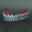 dental-anatomy-and-root-structures-3d-model-b24280cbf4.jpg Dental Anatomy and Root Structures