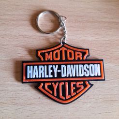 PSX_20210813_140200.jpg Harley Davidson Keychain
