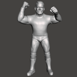 Screenshot-1139.png WWE WWF LJN Style CM Punk Custom Figure