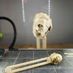 IMG_20191118_133807.jpg Archivo STL Poner einstein en favoritos・Diseño de impresión en 3D para descargar