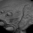 16.jpg 3D BASKILI ŞAMAN PREDATOR BİYOMASK BALTASI VE HANÇERİ PREDATOR 2