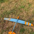 WhatsApp-Image-2026-07-26-at-19.07.47.jpeg Microplane V4 , DLG , glider , F3K, F3F