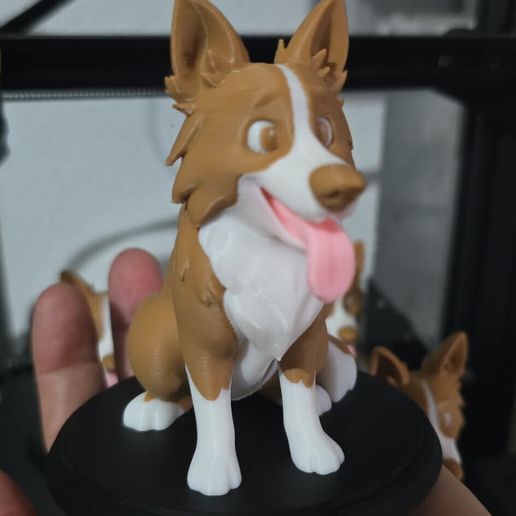 WhatsApp-Image-2026-01-11-at-09.42.433.jpeg Border Collie Dog Color Figure