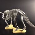 31790074333_05ffa71113_k.jpg Triceratops prorsus Skeleton