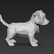 lqT@-shsh@-2026-04-06-224732.png Little dog