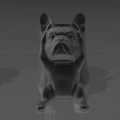 bull.jpg HUEVERA BULLDOG