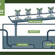 Nutrient-Film-Technique.png Hydroponic garden with a small footprint