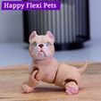 IMG_2871.jpg American Bully dog - flexi print in place toy by Happy Flexi pets (Updated!)
