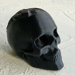 skull_1.jpg STL file Skull・3D printer model to download