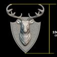 size_ok.jpg Deer Head