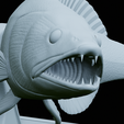 zander-trophy-57.png zander / pikeperch / Sander lucioperca fish in motion trophy statue detailed texture for 3d printing