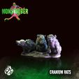 cranium-rats3.jpg Черепные крысы