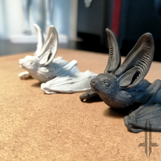 tiny5.png Tiny big eared bat