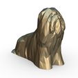 6.jpg Lhasa Apso Figur