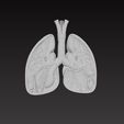 lungs8.jpg pulmões