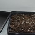 X.JPG Microgreens, Germination Kit