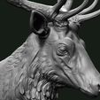 Stag_4.jpg Stag bust