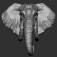 1.jpg Elephant  Head