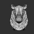 01.jpg Rhino