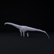 Diplodocus_3.jpg Diplodocus Carnegii 1-35 scale pre-supported sauropod