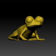fr1.jpg Frog