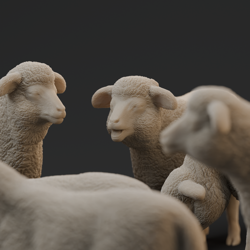 all-3.png SCHAF-ZIEGE-RUDEL