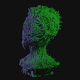 vid0101.png Alien Insectoid Bust