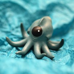 IMG_3255.JPG Fichier STL Cycloptopus mâle・Design pour imprimante 3D à télécharger