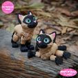 a.jpg PRINT IN PLACE CUTE SIAMESE CAT