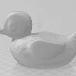 canard.png duck