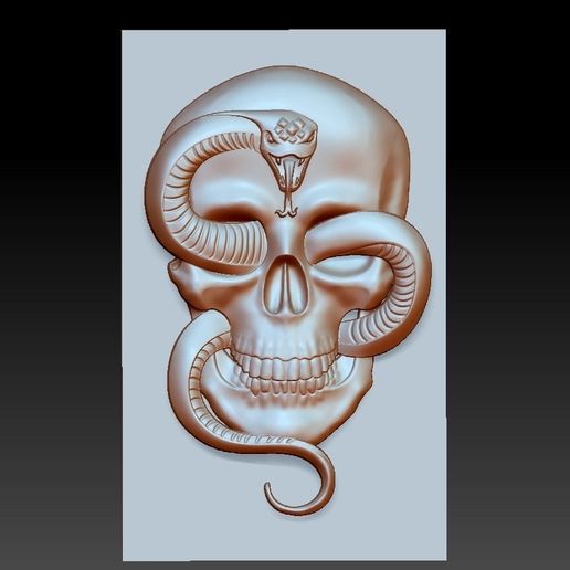 skull and snake model of bas-relief 3D model