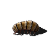 Small_spitter.png Factorio Small Spitter (pequeño) 3D Model Rigged