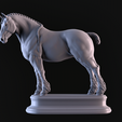 07.png Shire Horse