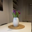 IMG_3794.jpeg 🌼 Elegant Vertical Strip Vase
