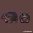 both.jpg BABY HIPPO, MOO DENG
